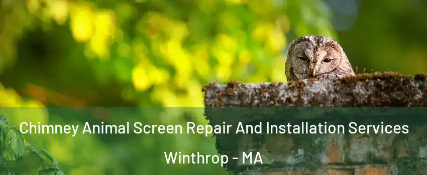  Chimney Animal Screen Repair And Installation Services Winthrop - MA