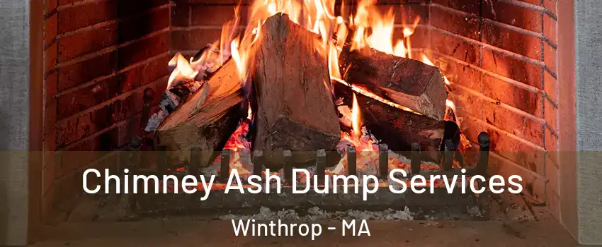  Chimney Ash Dump Services Winthrop - MA