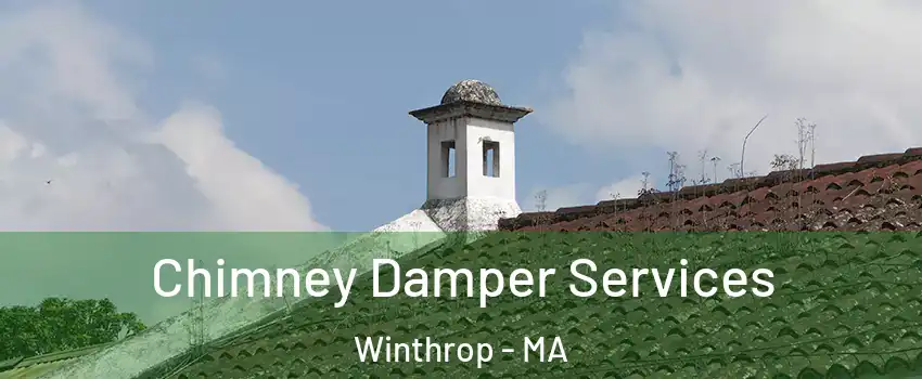  Chimney Damper Services Winthrop - MA