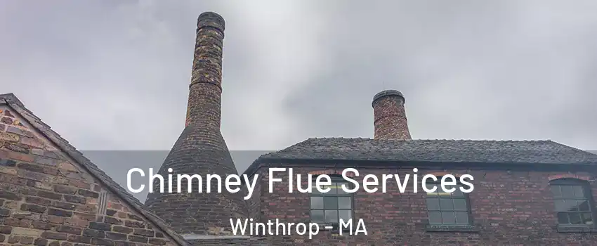  Chimney Flue Services Winthrop - MA