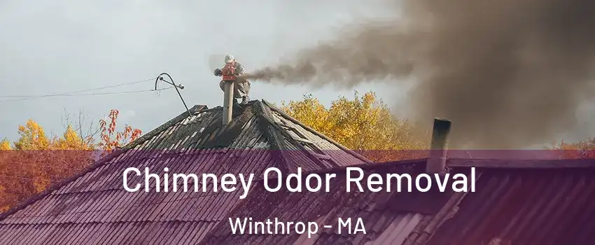  Chimney Odor Removal Winthrop - MA