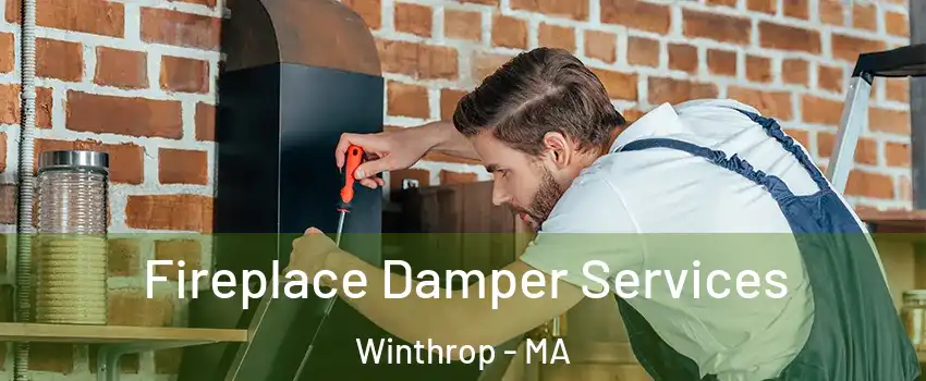  Fireplace Damper Services Winthrop - MA