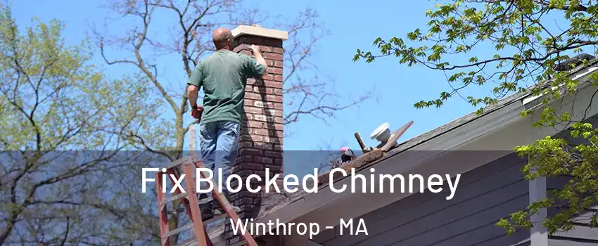  Fix Blocked Chimney Winthrop - MA
