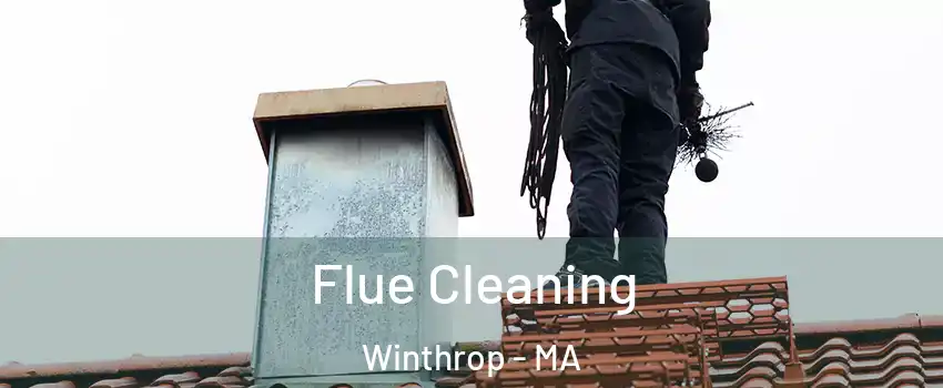  Flue Cleaning Winthrop - MA