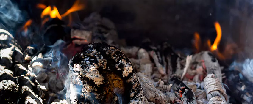 Creosote Removal Experts in Winthrop, MA