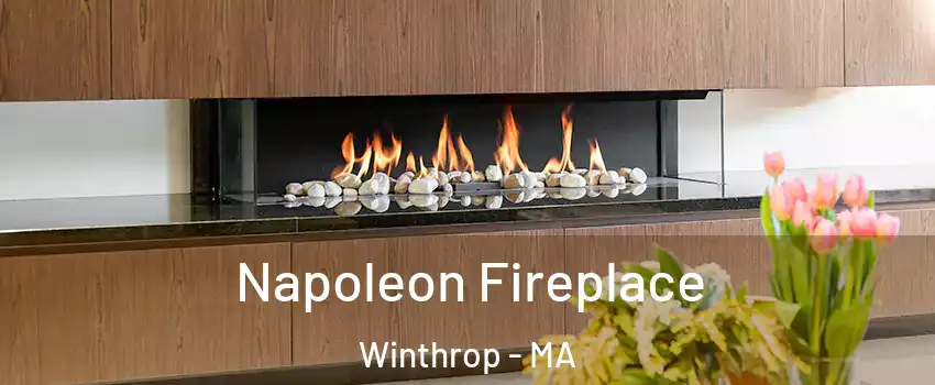  Napoleon Fireplace Winthrop - MA